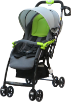  Misuki 9902 Silver Shadow-Green